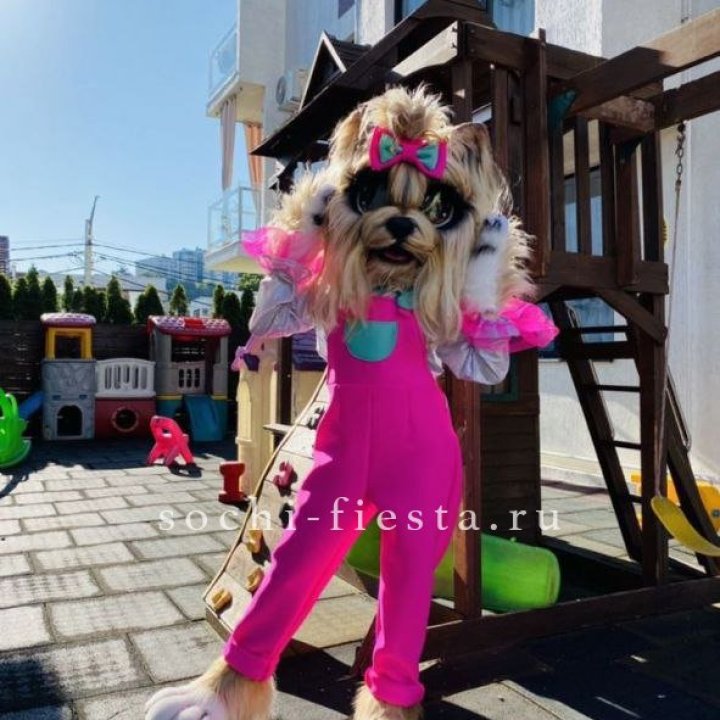 Аниматор Гламурная Собака в Грозные