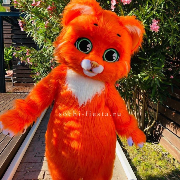 Аниматор Котик в Грозные