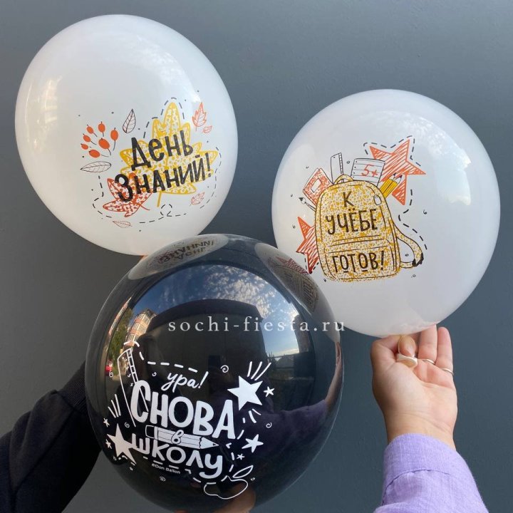Воздушный шар к 1 сентября в Грозные