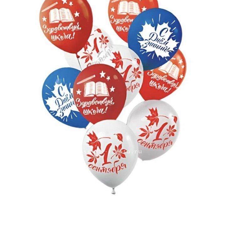 Воздушный шар на день знаний в Грозные