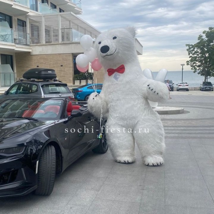 Аниматор Белый Медведь в Грозные