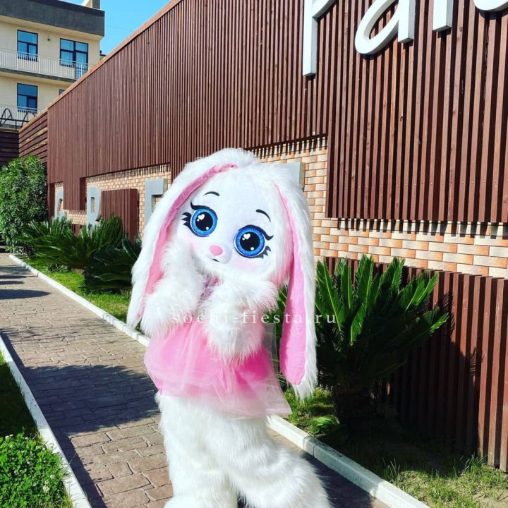 Аниматор Зайка в Грозные