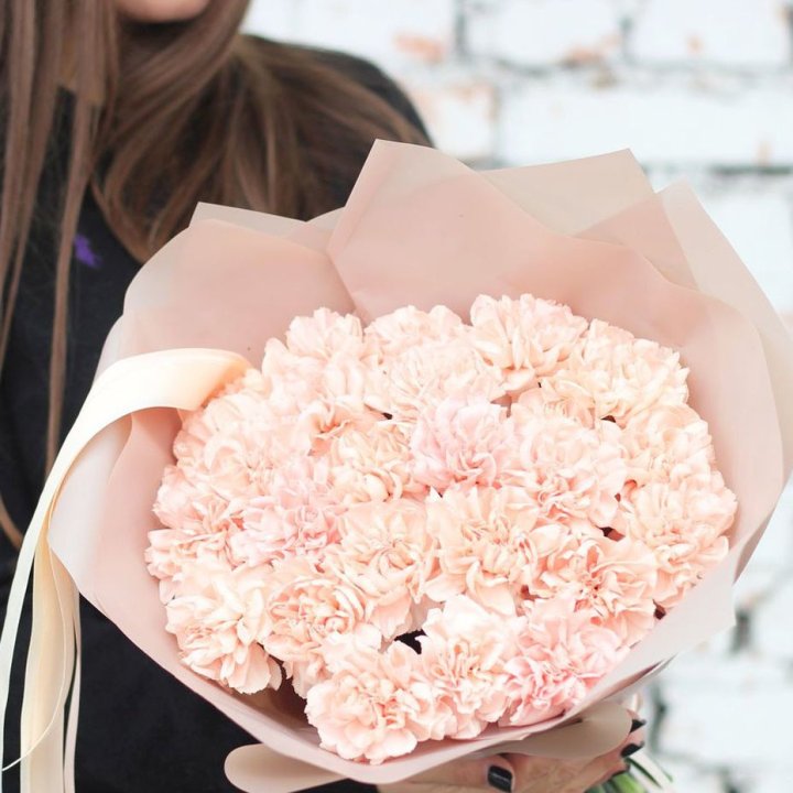 Диантусы №2 в Грозные