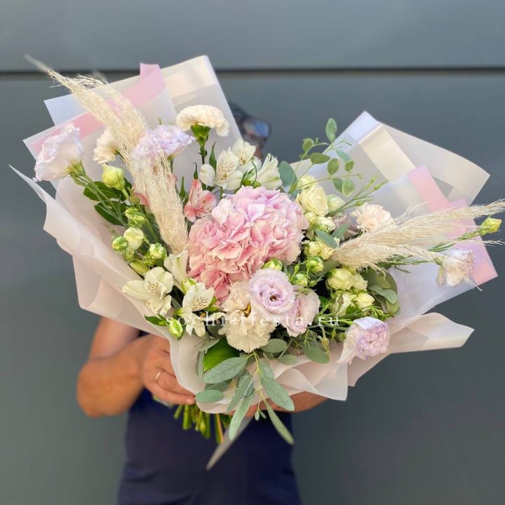 Гортензия "Пинк флоид" в Грозные