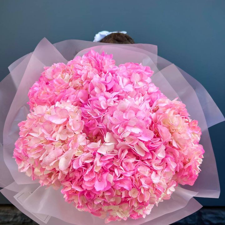 9 ярко розовых гортензий в Грозные