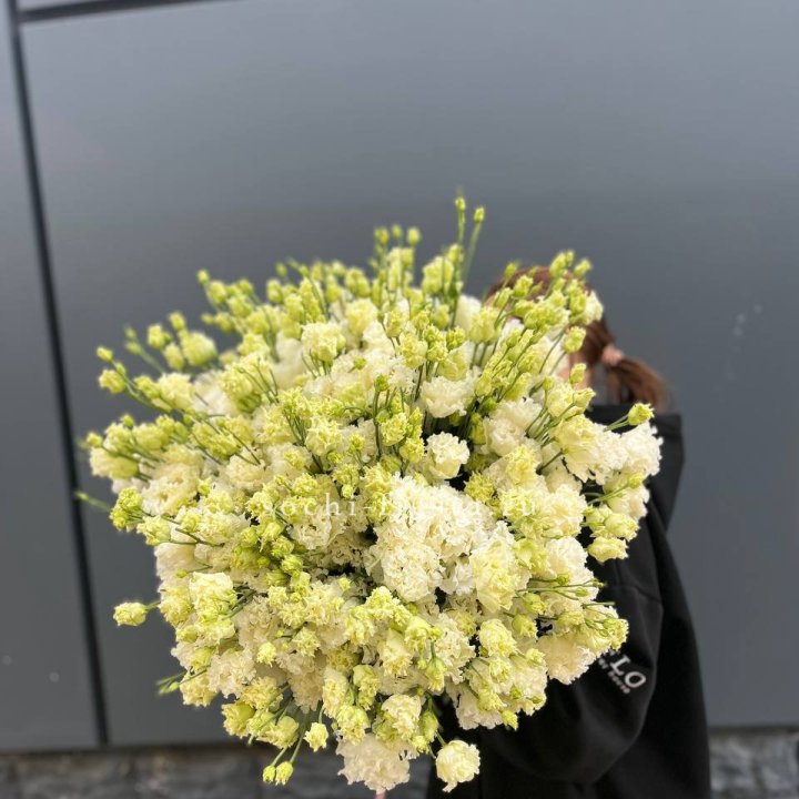 51 белая эустома в Грозные