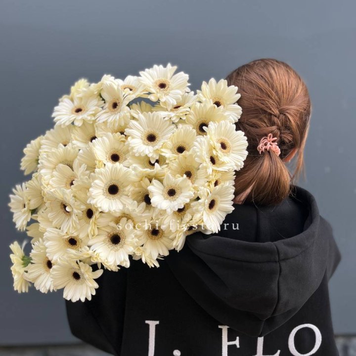 51 гербера в Грозные