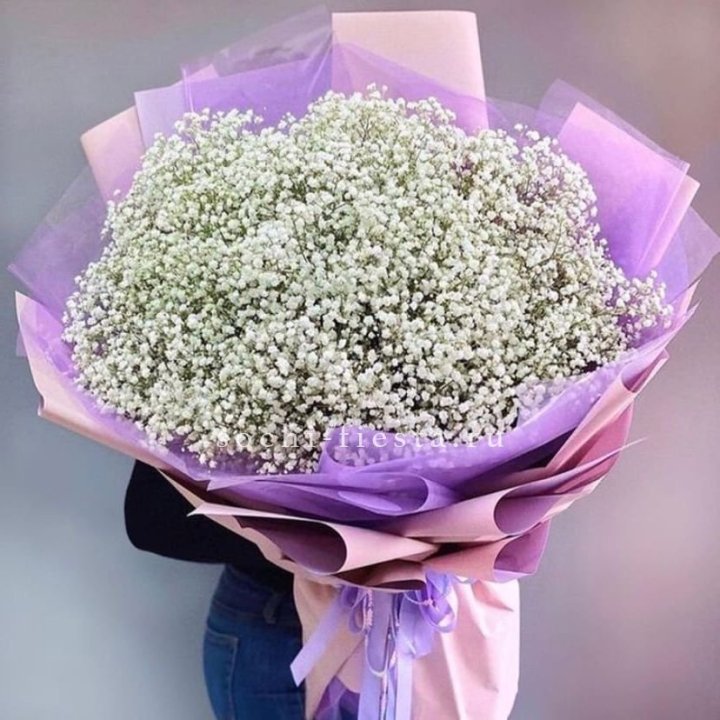 Облако белых гипсофил в Грозные