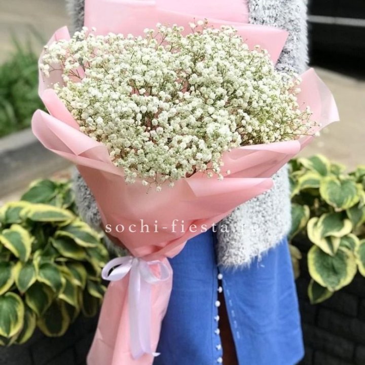 Белоснежные гипсофилы в Грозные