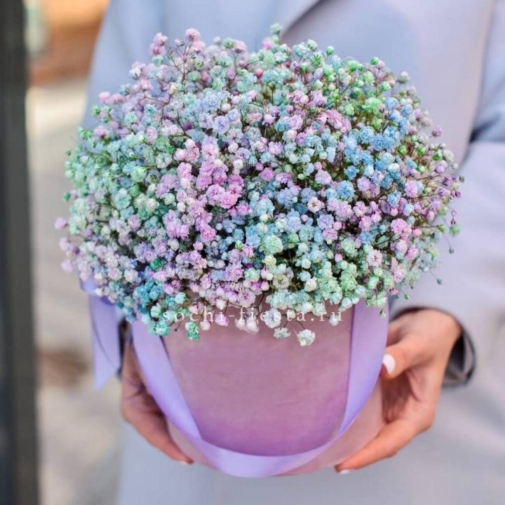 Гипсофилы в шляпной коробке "Кандилайт" в Грозные