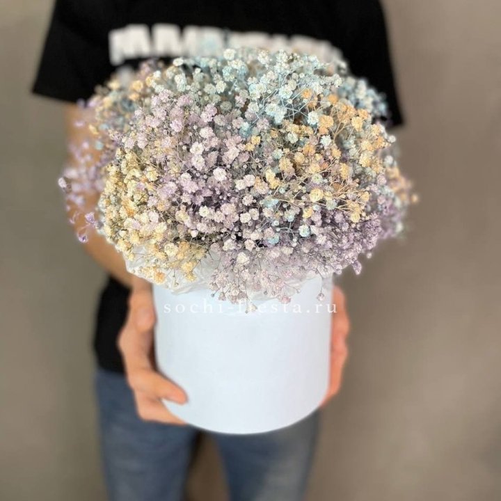 9 Радужных гипсофил в шляпной коробке в Грозные