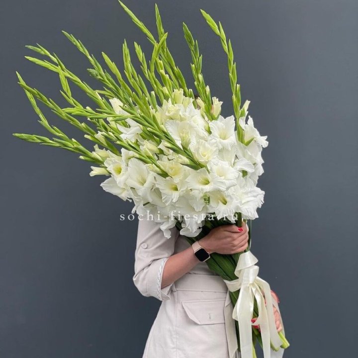 19 белых гладиолусов под ленту в Грозные