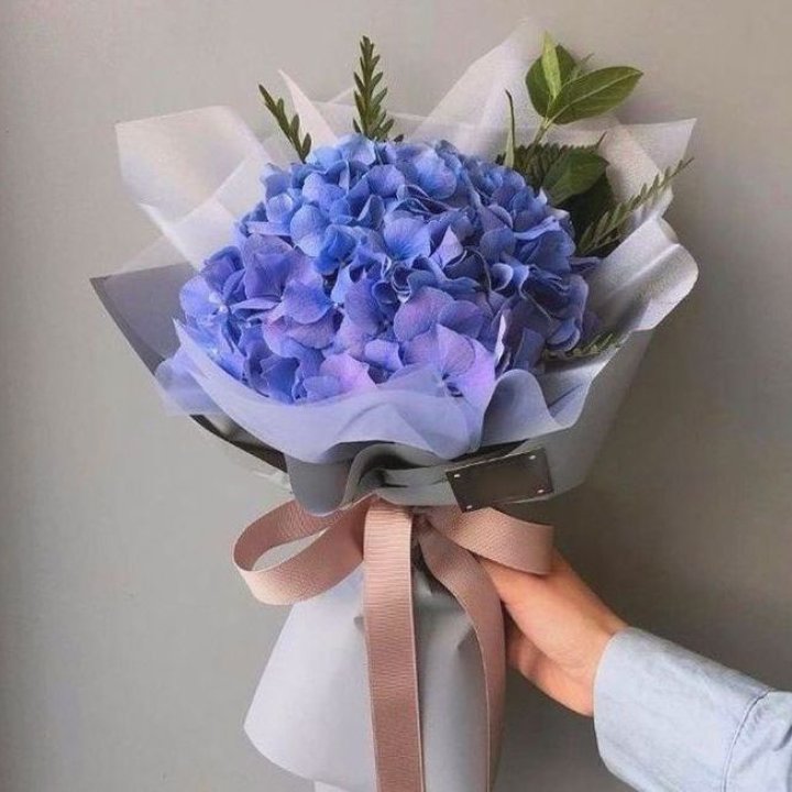 Гортензия голубая в Грозные