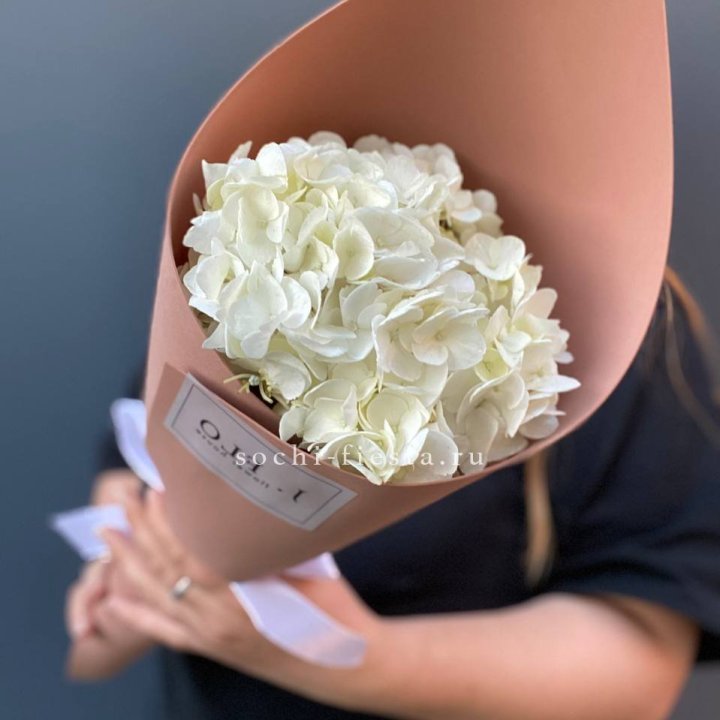 Гортензия в конверте в Грозные