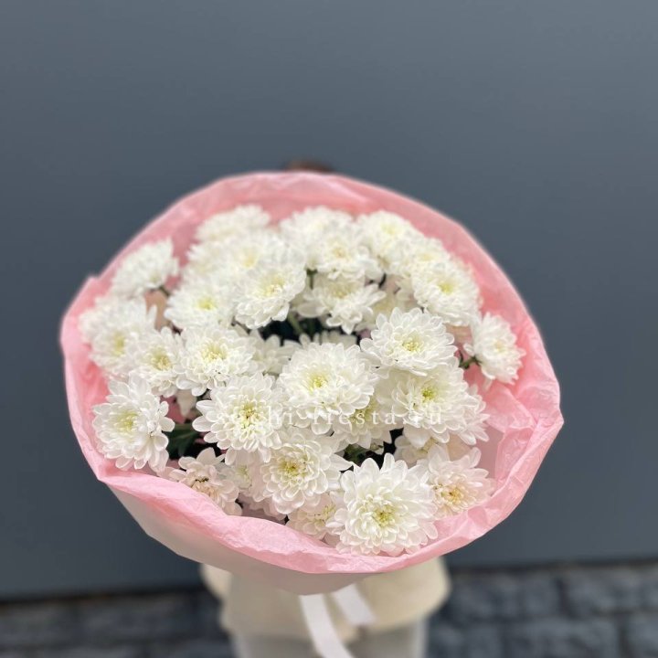  5 хризантем  в Грозные