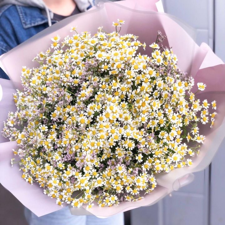 Букет ромашек №1 в Грозные