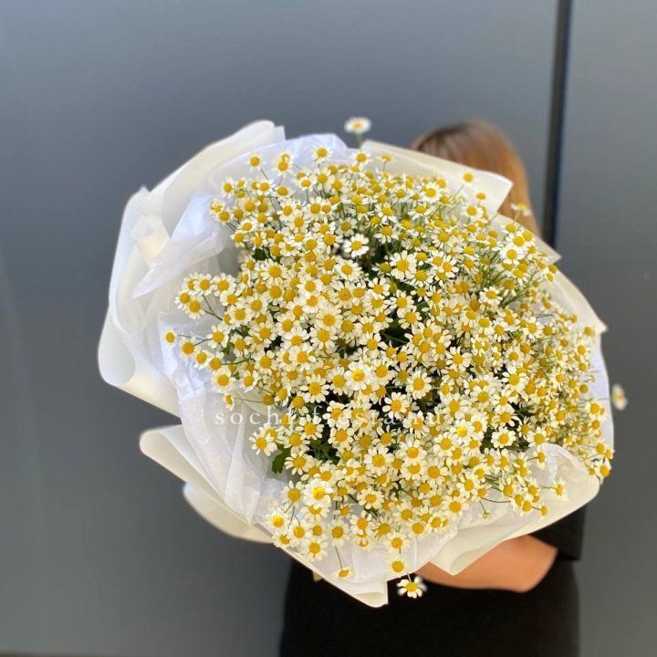 Букет ромашек "Фемели" в Грозные