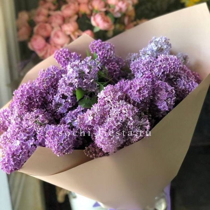 Букет сирени №2 в Грозные