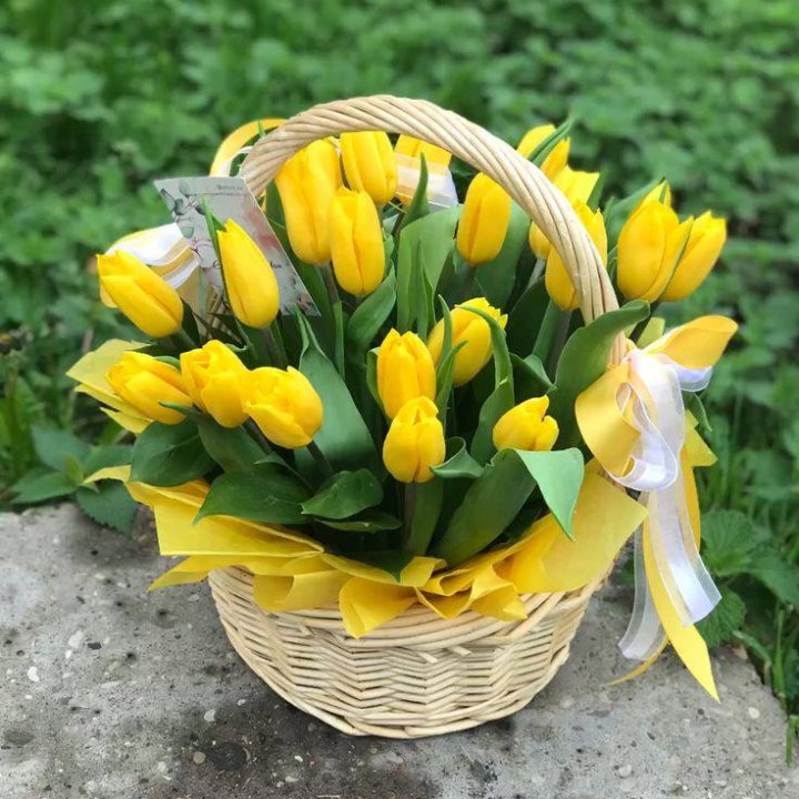 25 желтых тюльпанов в корзине в Грозные