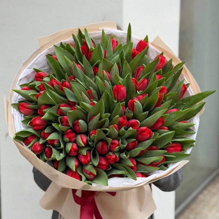 101 красный тюльпан в Грозные