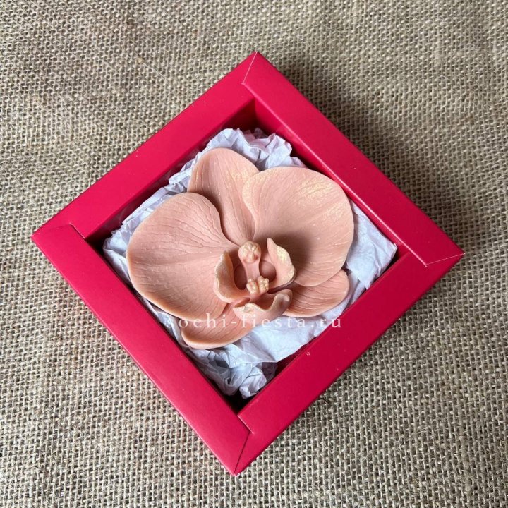 Бельгийский шоколад Орхидея в Грозные