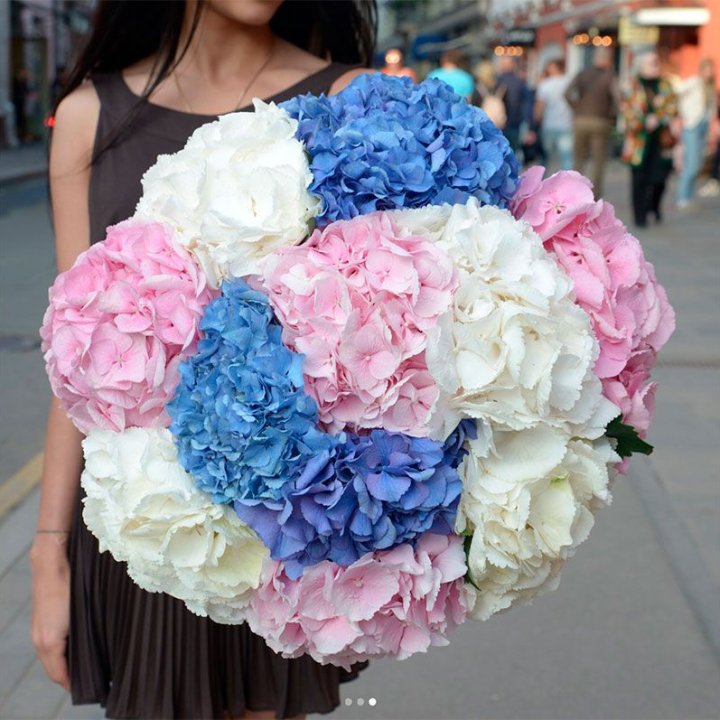 Букет гортензий "Инь-Янь" в Грозные