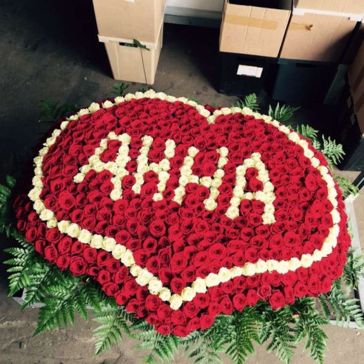 555 роз с именем в Грозные