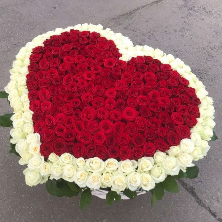 333 розы в корзине в Грозные