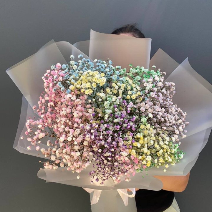 Радужные гипсофилы  в Грозные