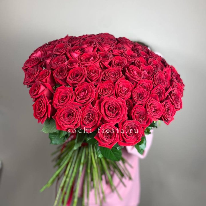 101  голландская роза  в Грозные