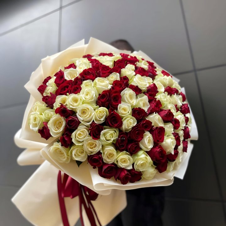 101 высокая импортная роза  в Грозные