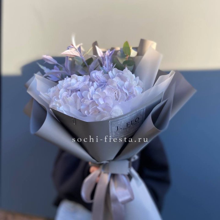 Гортензия "Виолета" в Грозные