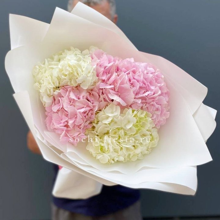 Букет гортензий №5 в Грозные