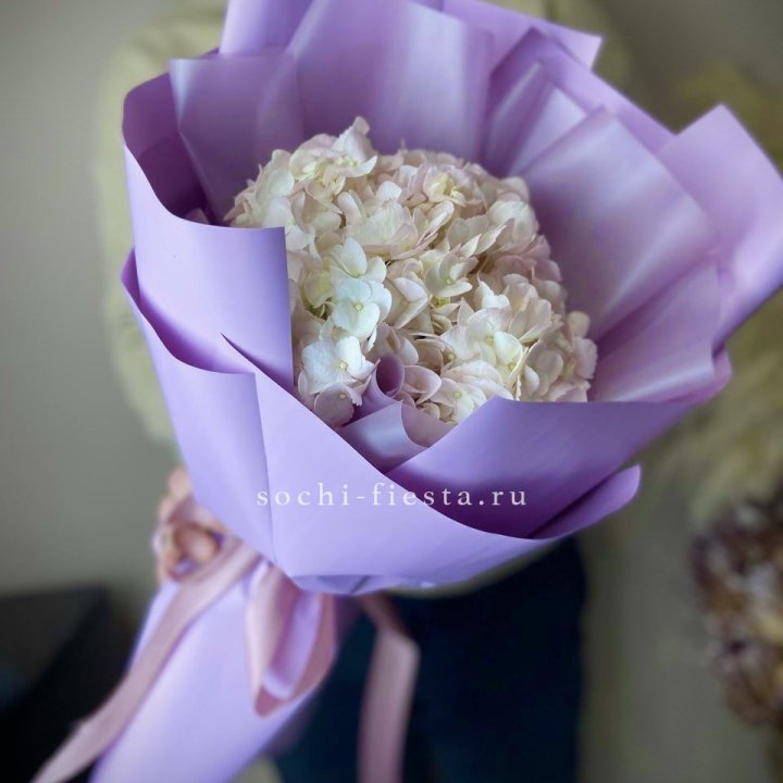 Гортензия розовая в Грозные