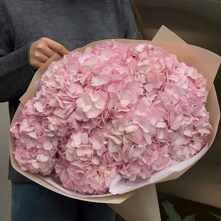 Гортензия  "РОЗЕ" в Грозные