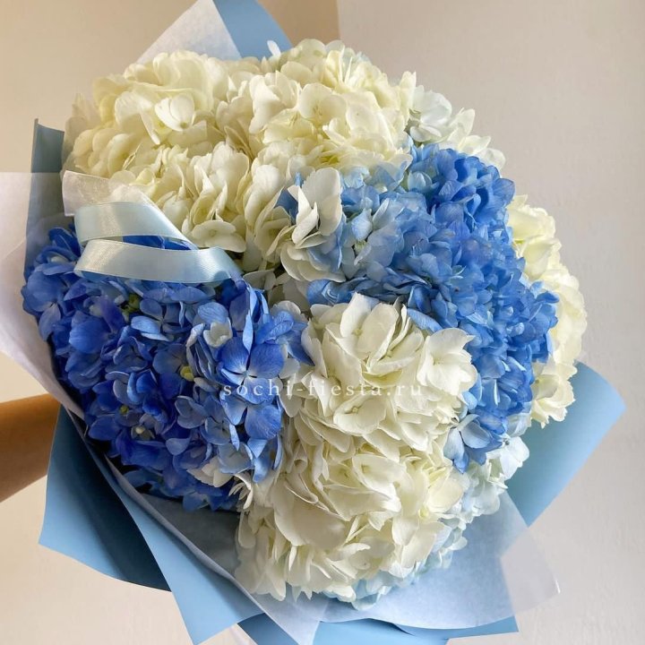 Букет гортензий "Голубая лаза" в Грозные