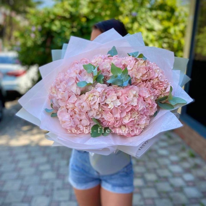 5 розовых гортензий  в Грозные