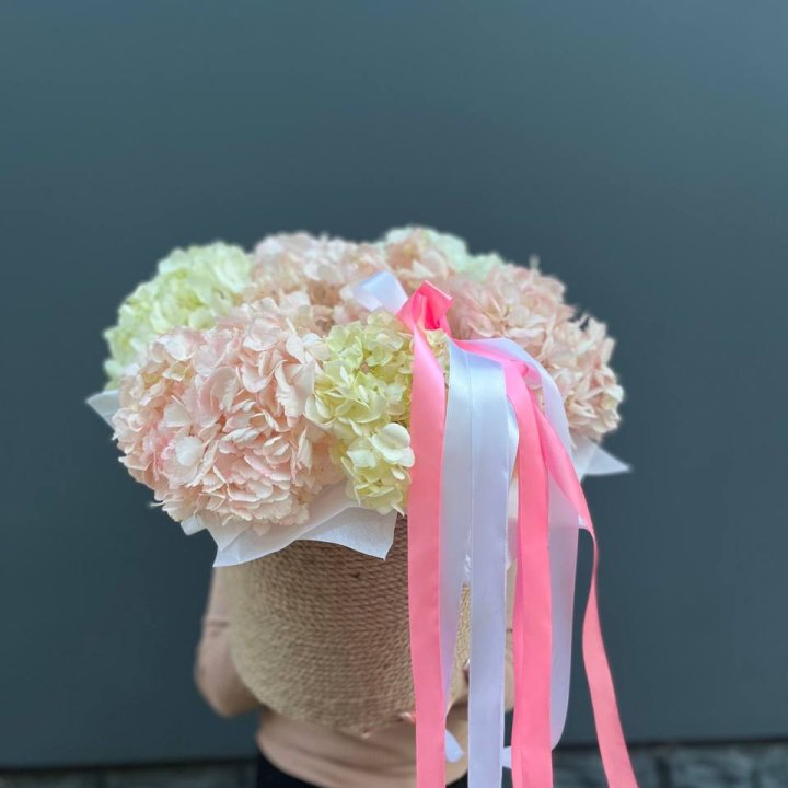 7 гортензий в кашпо в Грозные