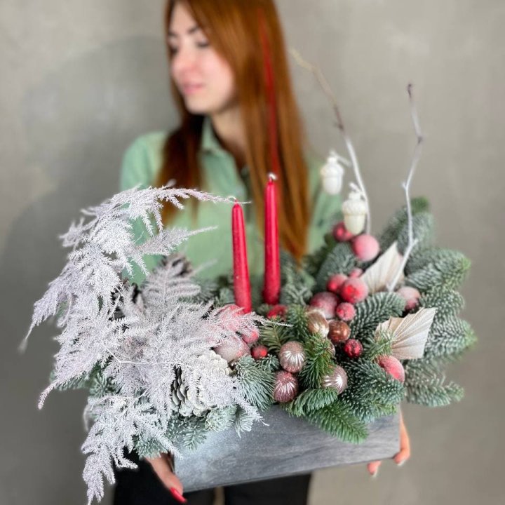 Бокс красный с нобилисом в Грозные