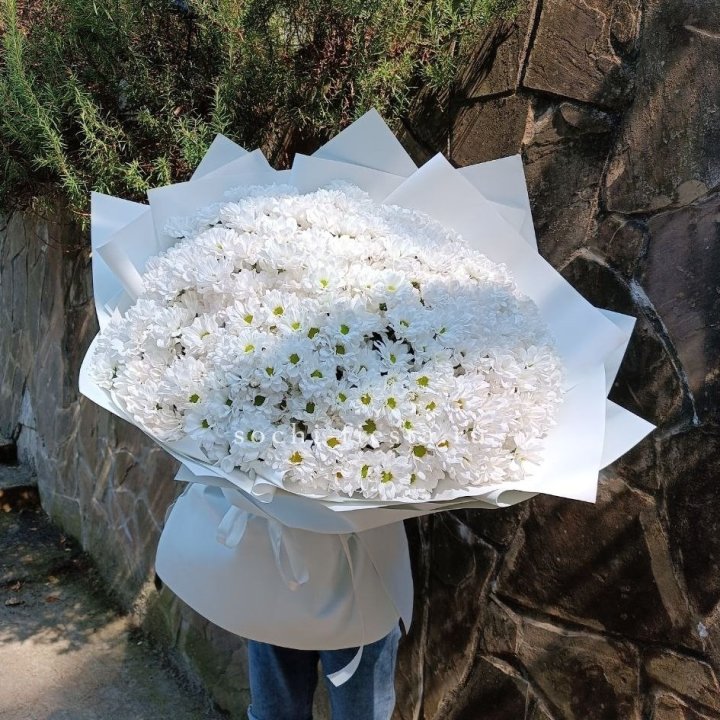 Облако хризантем №2 в Грозные