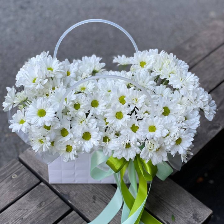 Сумка с хризантемами ромашками в Грозные