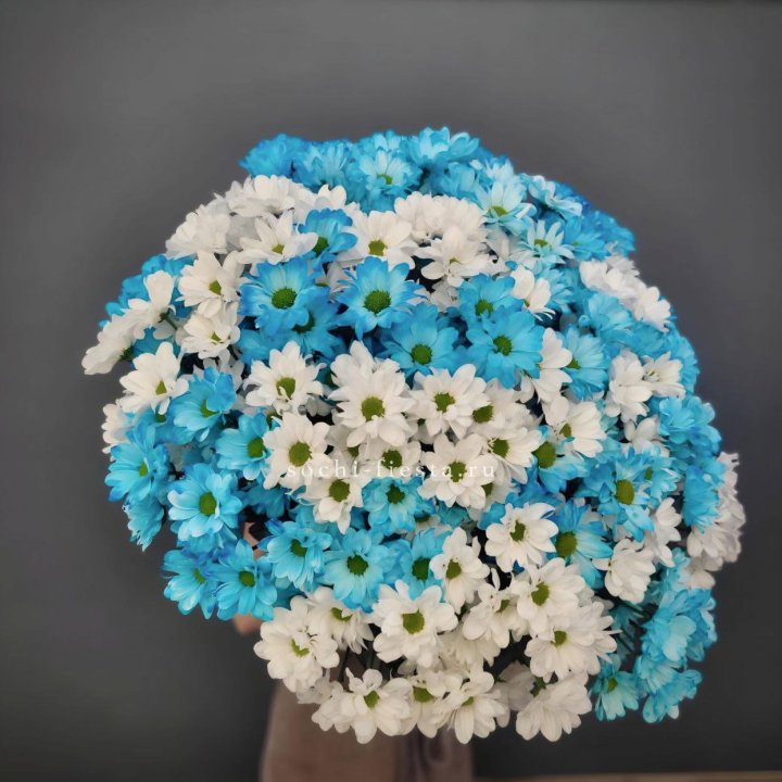  Букет хризантем микс в Грозные