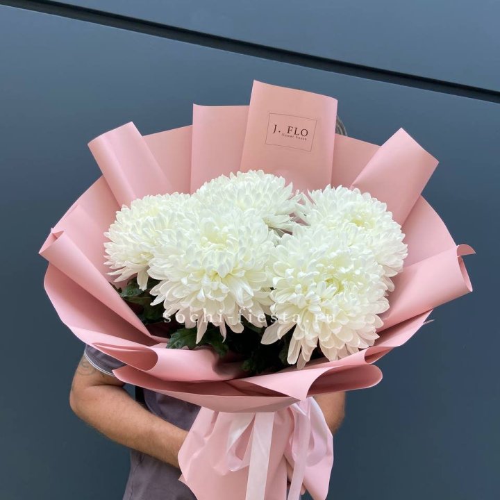 Профитроли №2 в Грозные