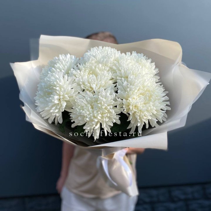 Профитроли в Грозные