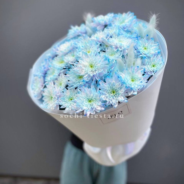  Букет нежно-голубых хризантем  в Грозные