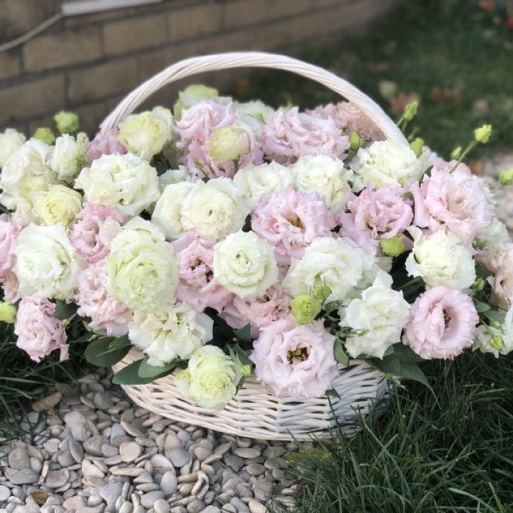 Корзина с эустомой в Грозные