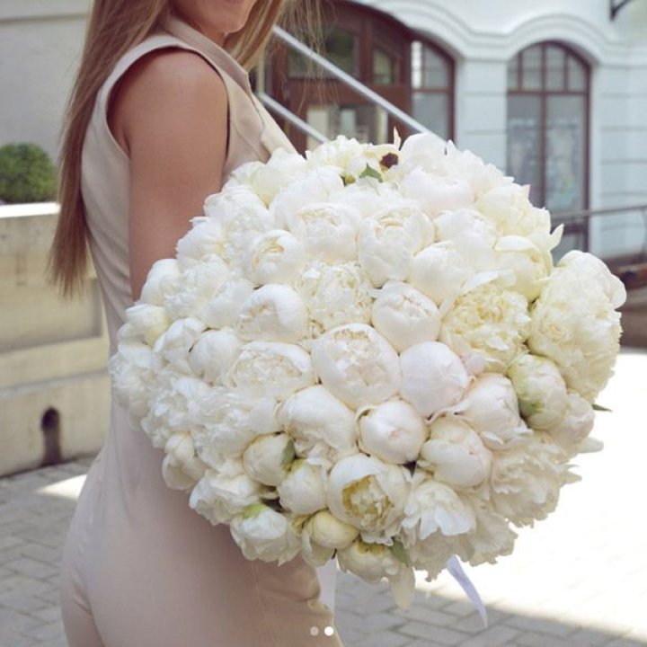 51 белый пион в Грозные