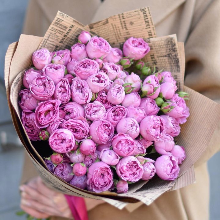 Роза Мисти Баблс в Грозные