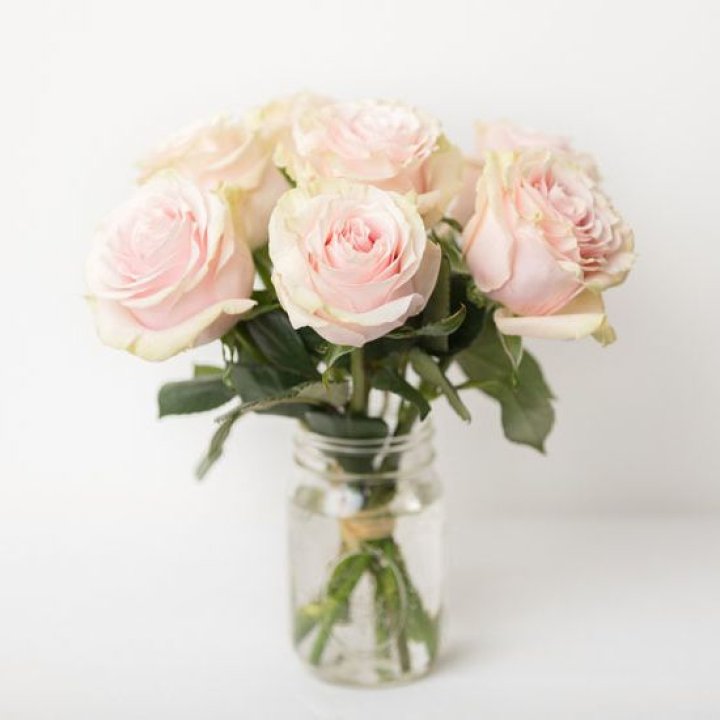 7 кремовых роз в Грозные