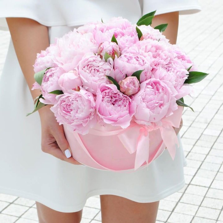 Пионы в шляпной коробке в Грозные